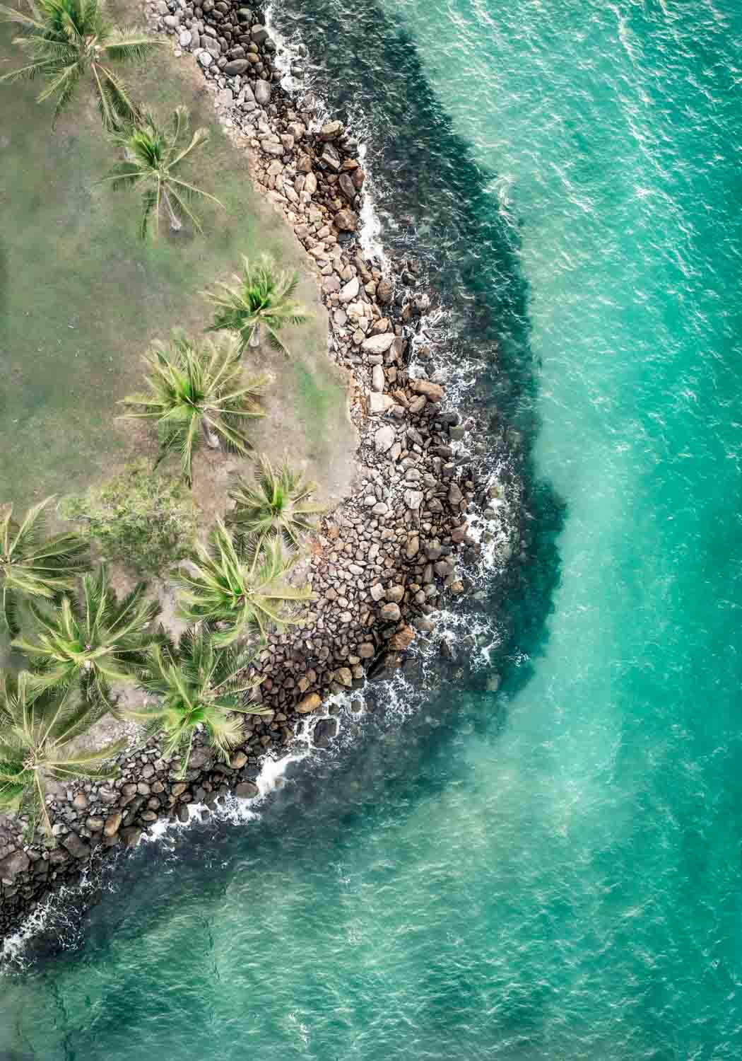 Vertical drone shot of palm trees and breaking ocean waves over Rex Smeal Park – fine art print by David Lloyd Photography