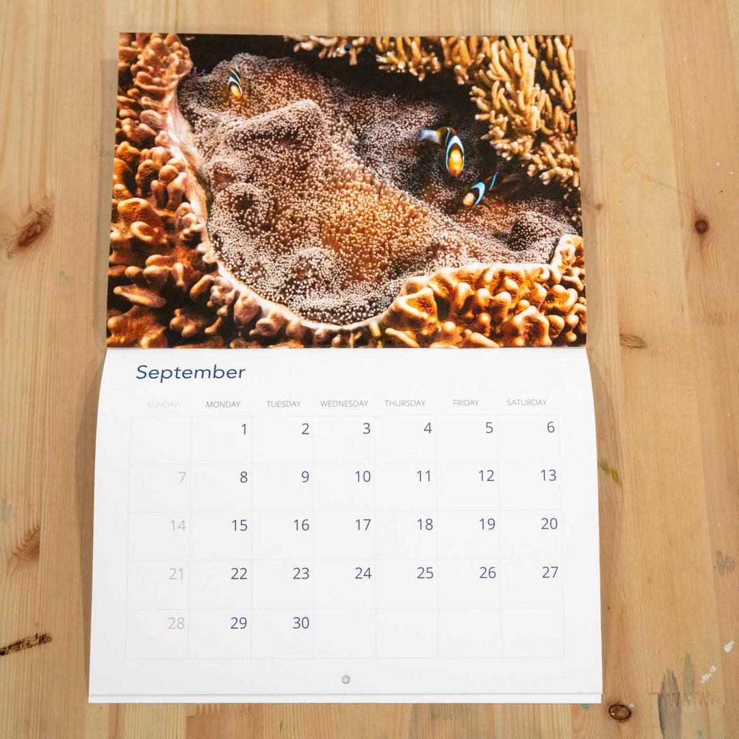 2025 Calendar by David Lloyd Photography