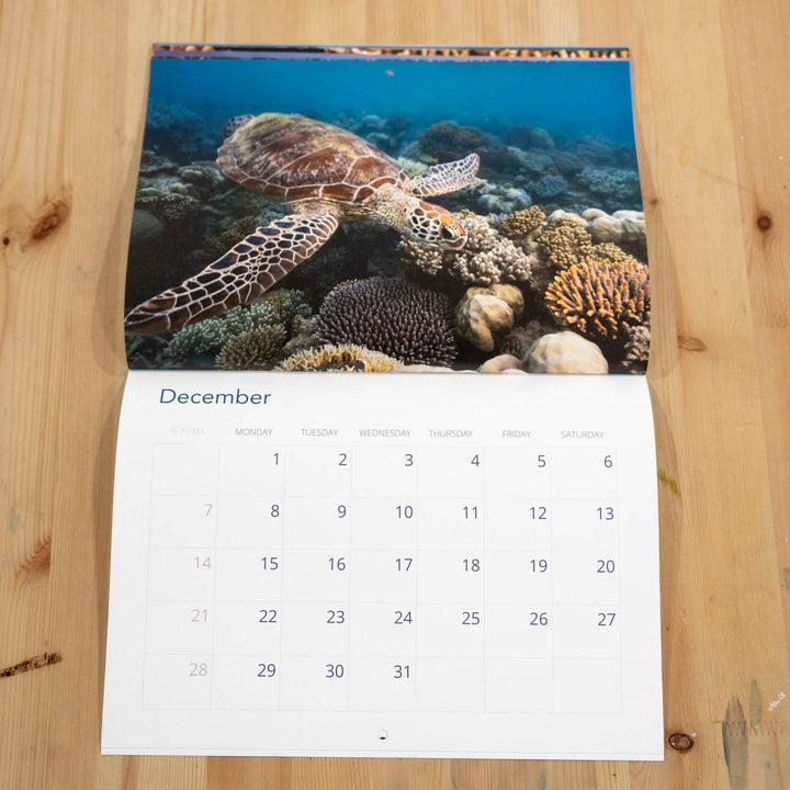 2025 Calendar by David Lloyd Photography