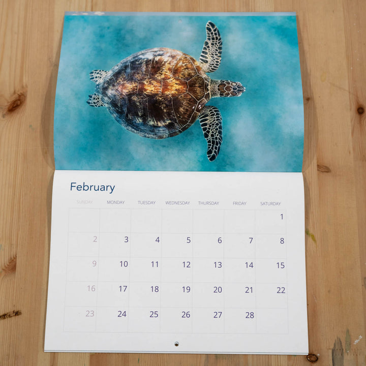 2025 Calendar by David Lloyd Photography