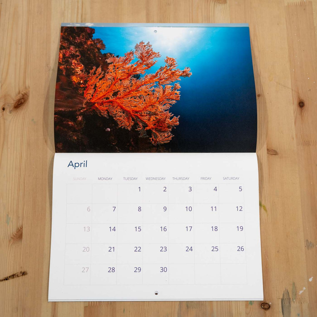 2025 Calendar by David Lloyd Photography