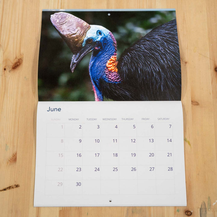 2025 Calendar by David Lloyd Photography