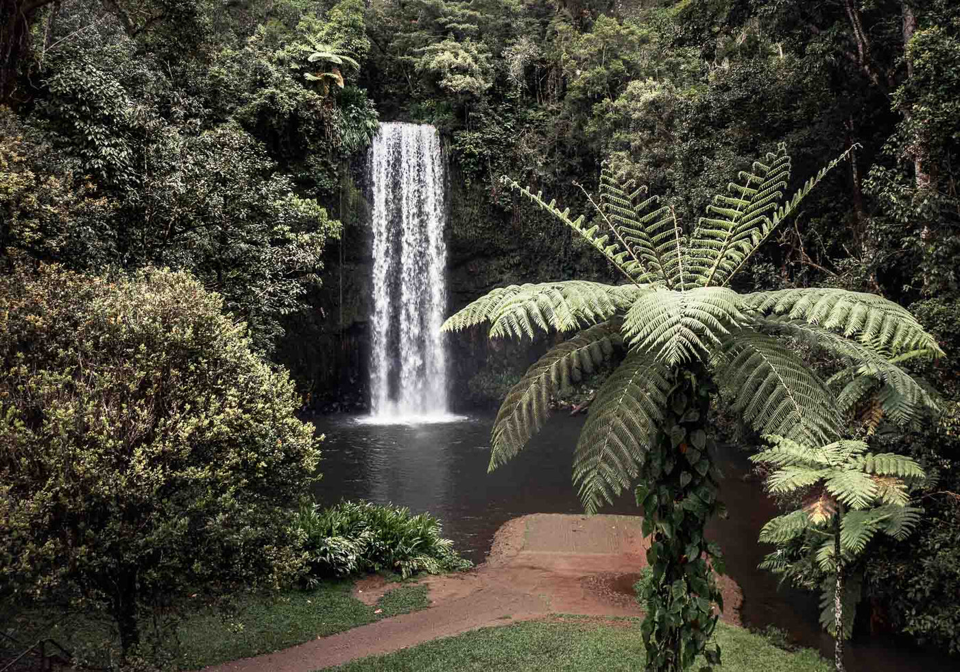 millaa millaa falls australian landscape photography