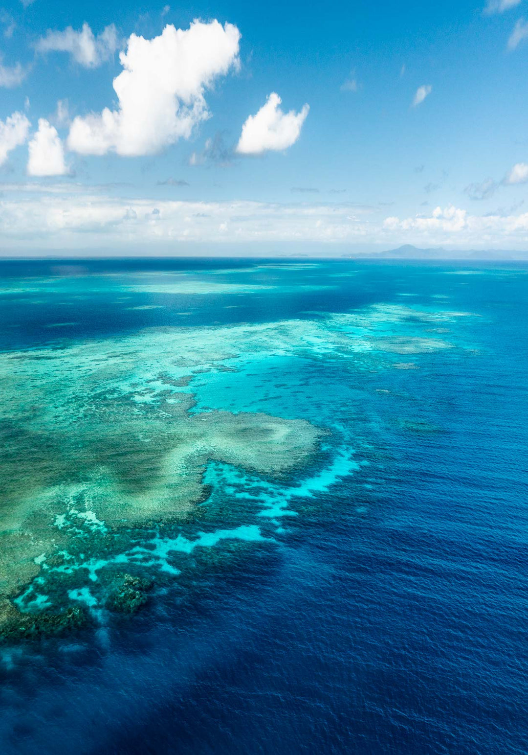 rudder reef portrait photograph over the great barrier reef from a drone