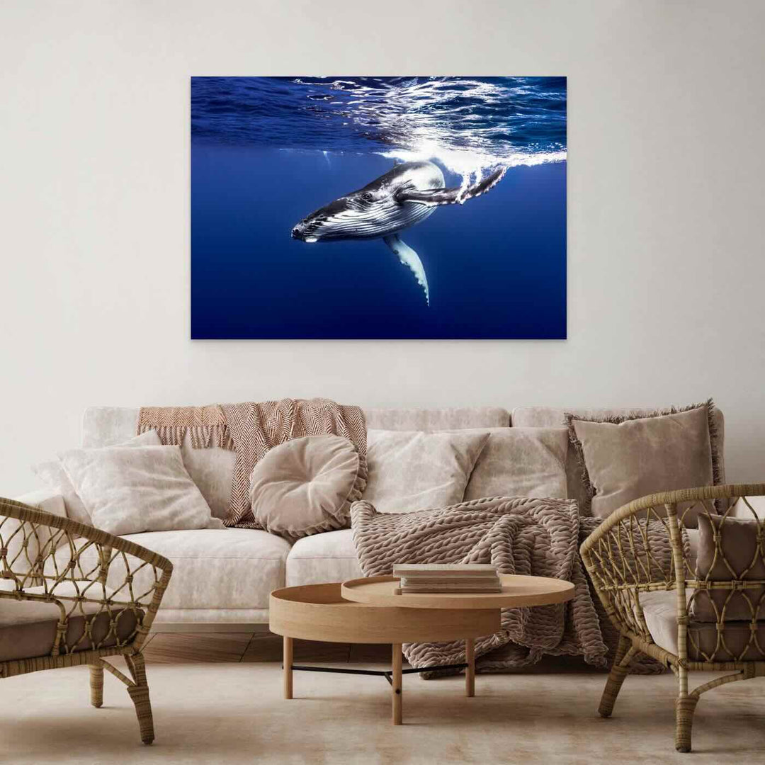 Humpback Whale Calf Dive Down Limited Edition Fine Art Photographic Canvas wall art