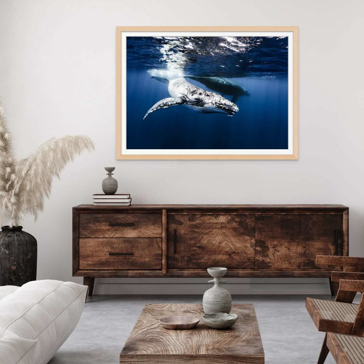 Humpback Whale Fine Art Photograph framed in oak