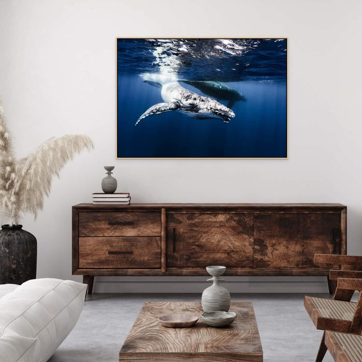 Humpback Whale Fine Art Photograph framed canvas print
