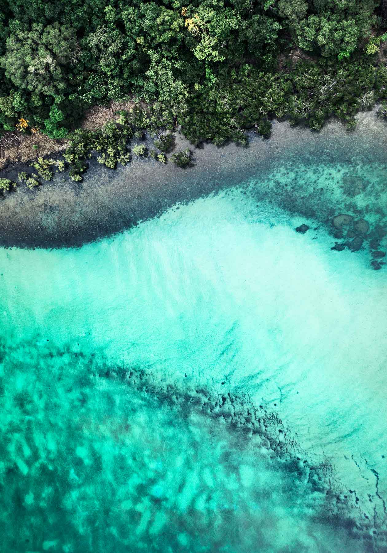twisting and turning patterns into and out of the ocean at cape tribulation
