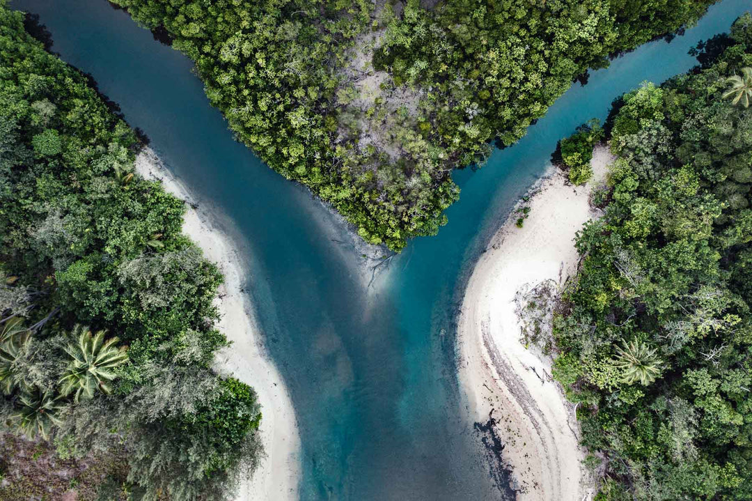 cape tribulation beach river entry photography from the air
