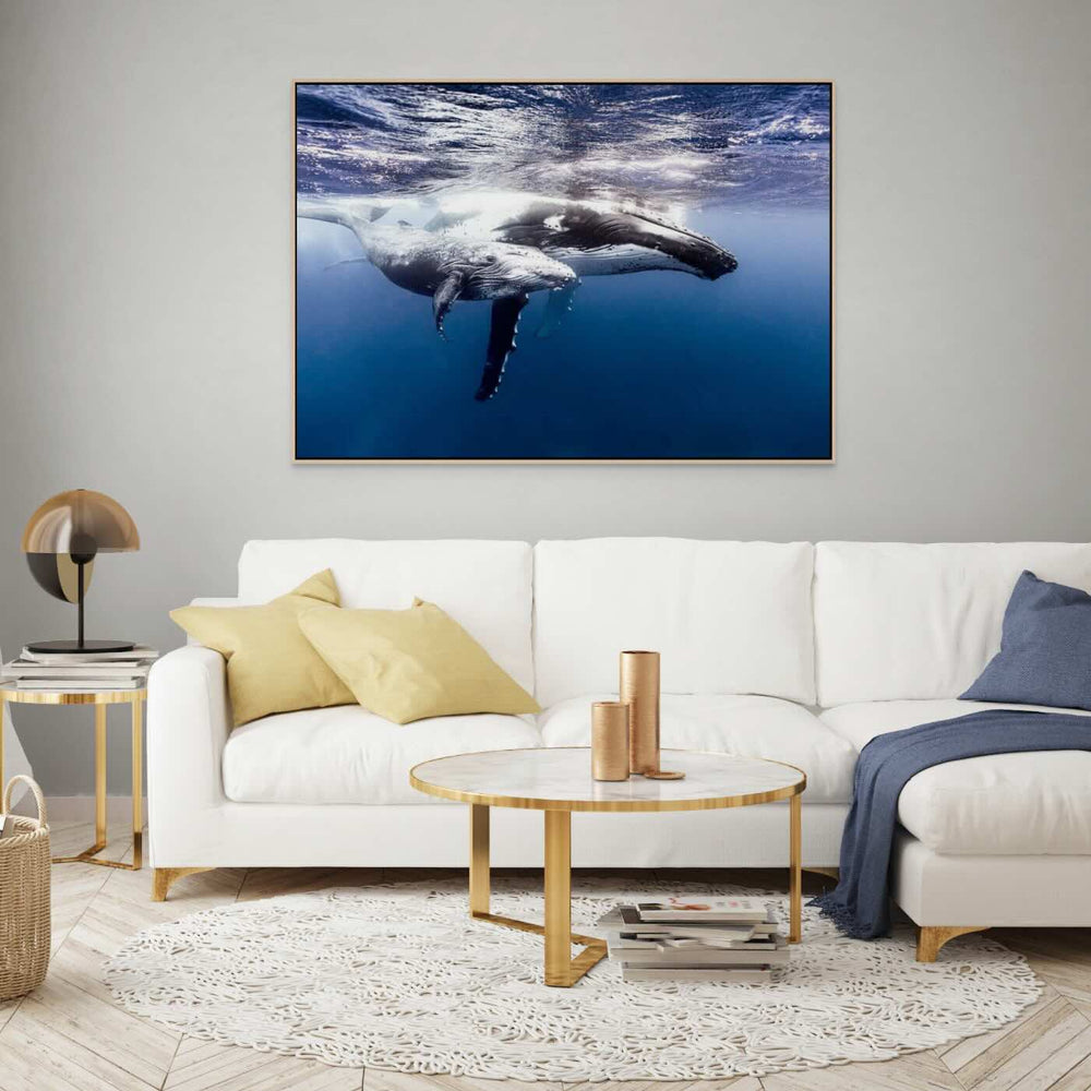 Humpback whale mother and calf swimming underwater framed canvas