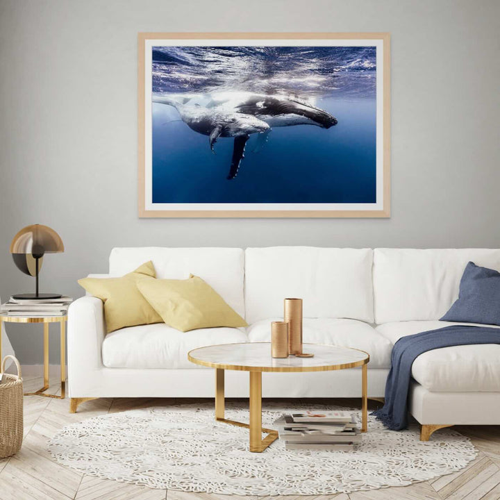 Humpback whale mother and calf swimming underwater framed paper print