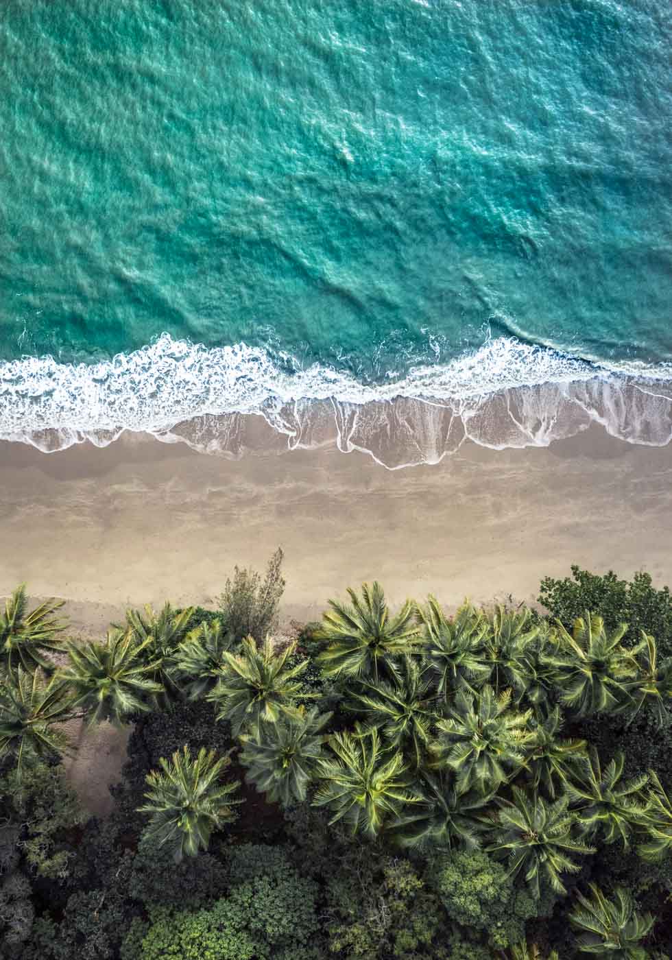 Four Mile Beach Port Douglas aerial top down limited edition print 