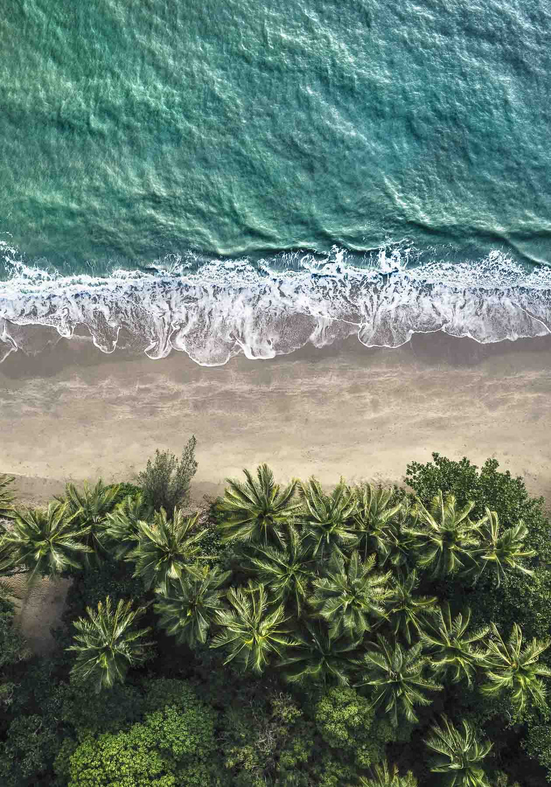 four mile beach aerial sunrise photograph over palm trees with waves