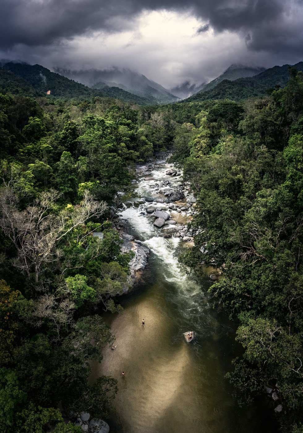 daintree rainforest nature photography mossman gorge wall art