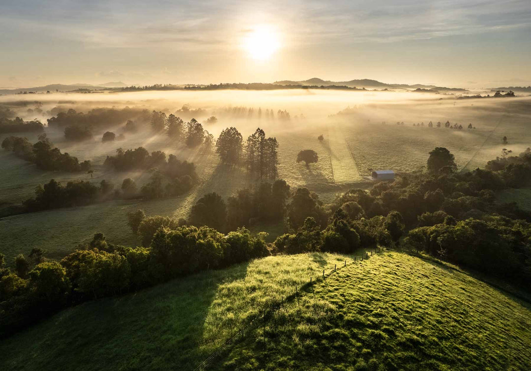 misty monrnings in the atherton tablelands over a green sunkissed hill