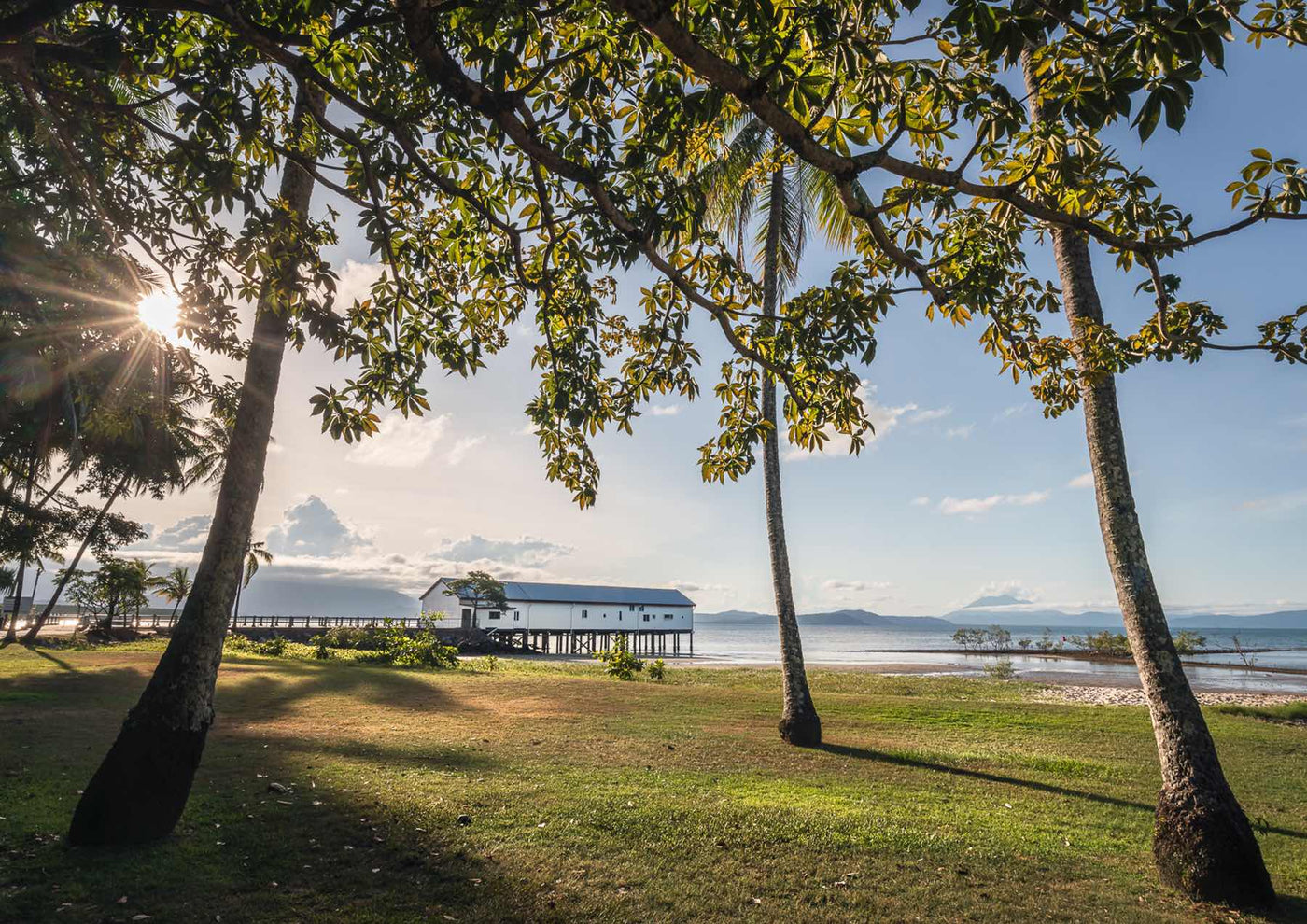 sunset over sugar wharf port douglas through trees with a starburst