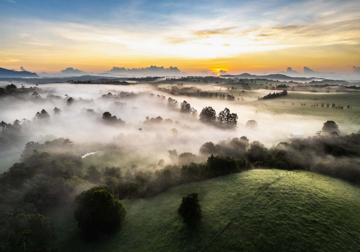 athertone tablelands sunrise photography through the fog over the mountains