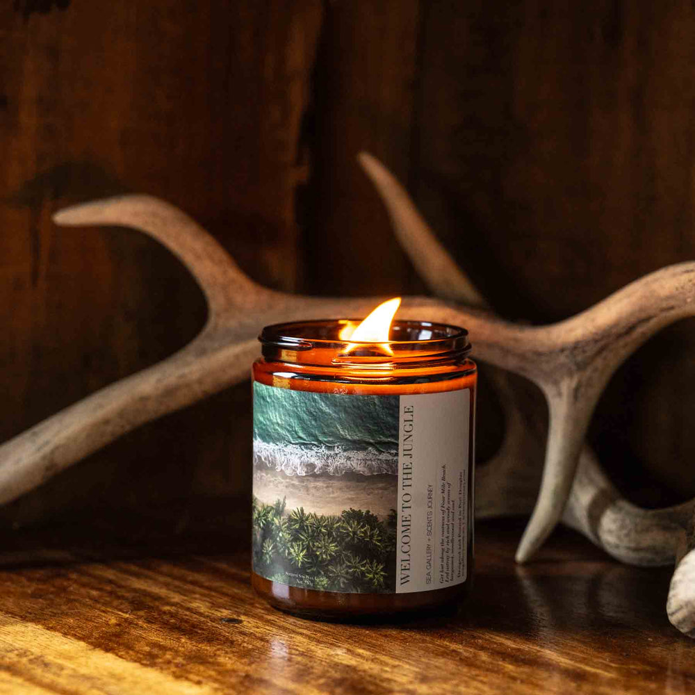 tropical aerial photograph on soy candle