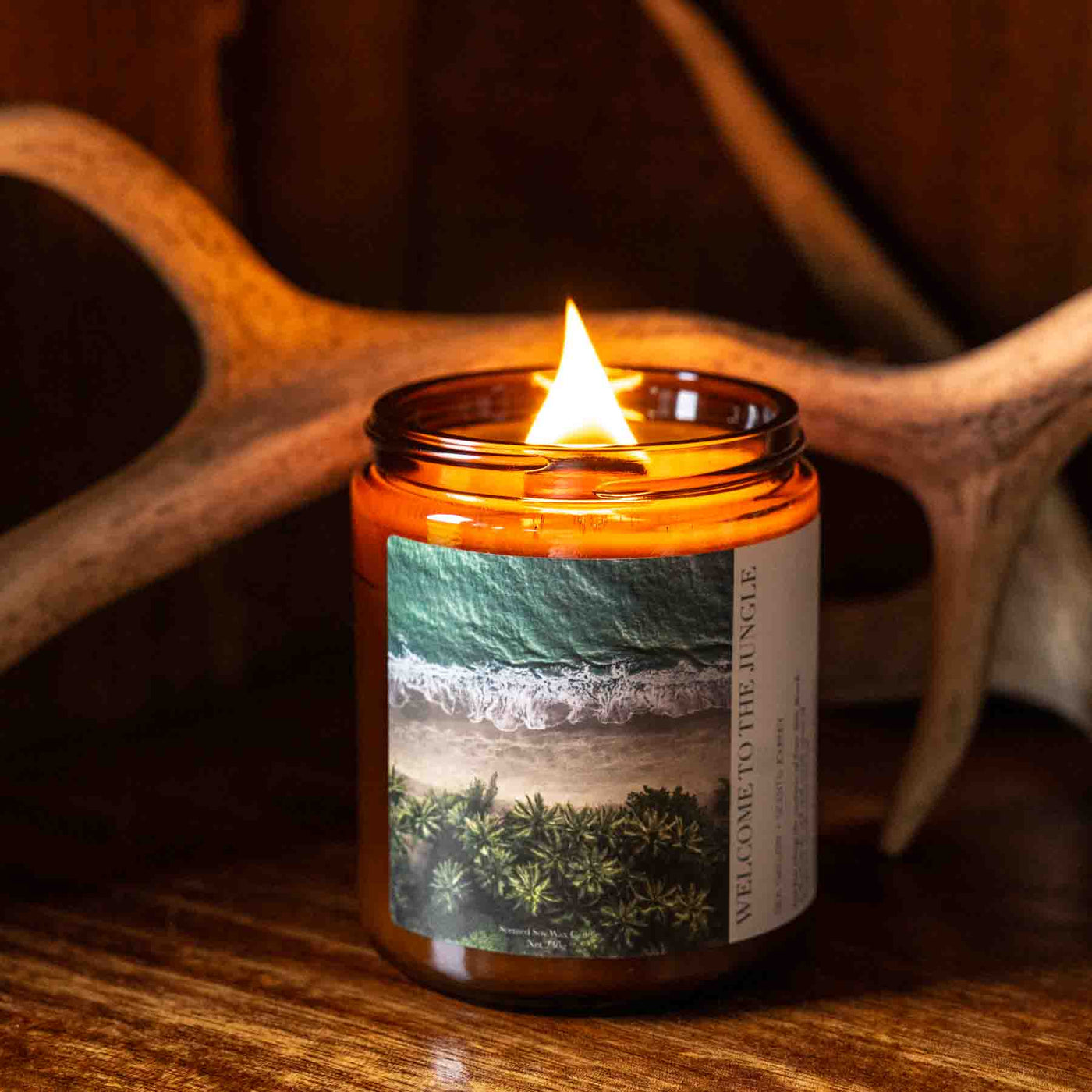 tropical aerial photograph on soy candle
