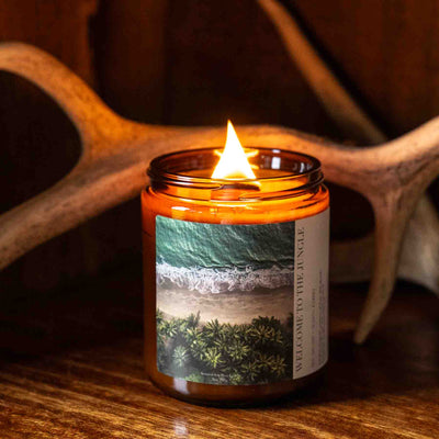 tropical aerial photograph on soy candle