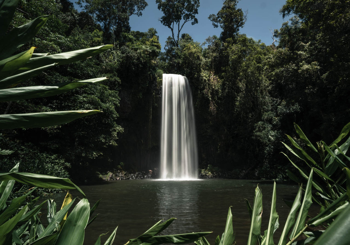 Millaa Millaa Falls austrlaian landscape photography in atherton tablelands