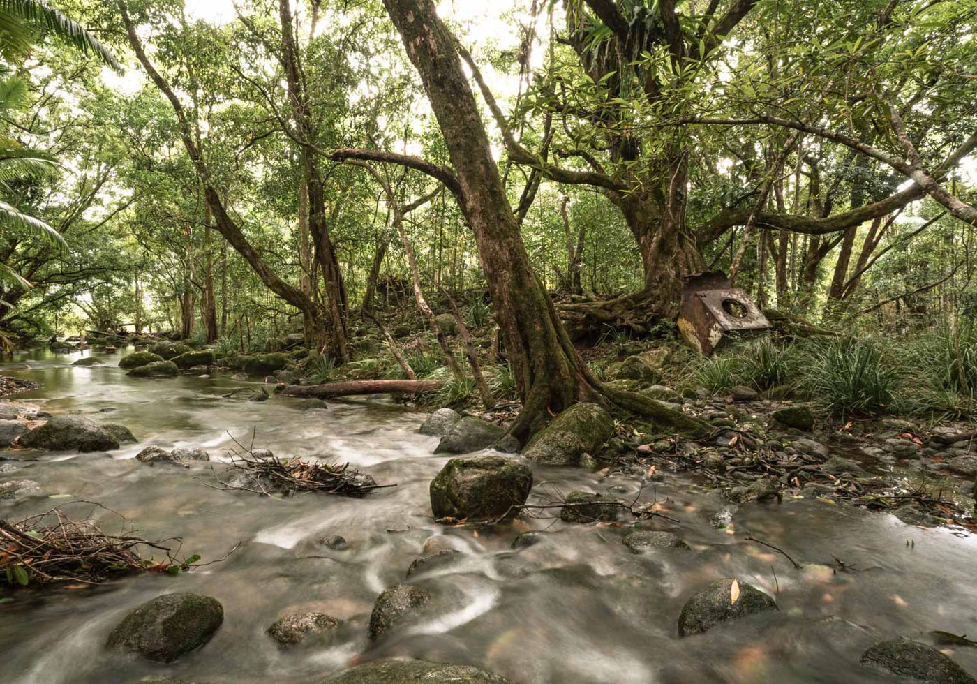 running water below mossman gorge australian landscape photography by david lloyd